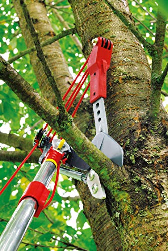 Wolf Garten Nożyce do Drewna, Czerwony, 37x23x7 cm - obrazek 7