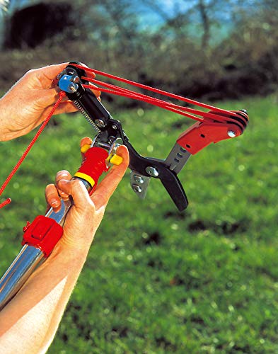 Wolf Garten Nożyce do Drewna, Czerwony, 37x23x7 cm - obrazek 5