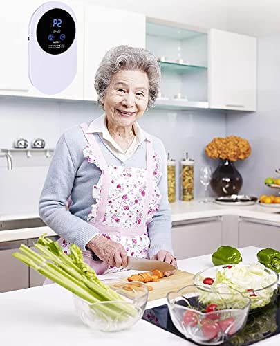 Ysislybin Oczyszczacz powietrza 5 V z 4 trybami oczyszczacz powietrza USB do domu samochodu zoomu kuchni i palaczy do sypialni ozonu i jonu ujemnego – sterylizacja i dezodoracja - obrazek 3