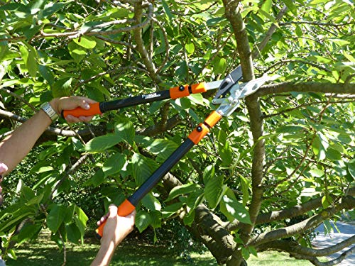 Primus 1100 Anvil Ratchet Lopper Shears – Strongest Pruning Shears The We Rectangular Shaped Telescopic Arm, Black - obrazek 5