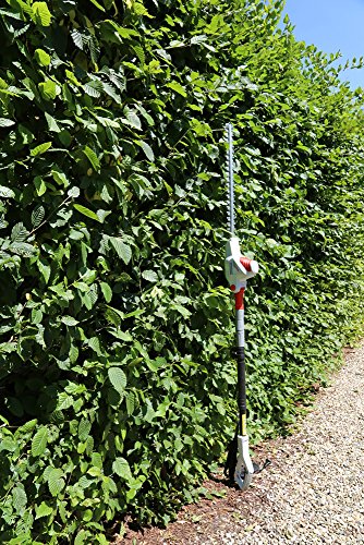 Ikra 78001800 Nożyce do Żywopłotu, 600 W, 230 V, Srebrny, Czarny, 241 x 10 x 19 cm; 4.1 kg - obrazek 9