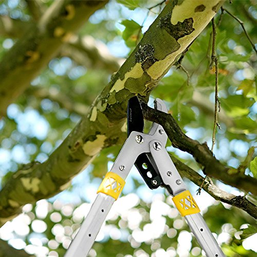 GRÜNTEK Teleskopowe nożyce do gałęzi AMBOSS XT 685-1015 mm, hartowane - obrazek 6