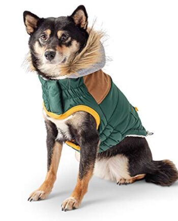 GF Pet LODGE Parka, L Forest