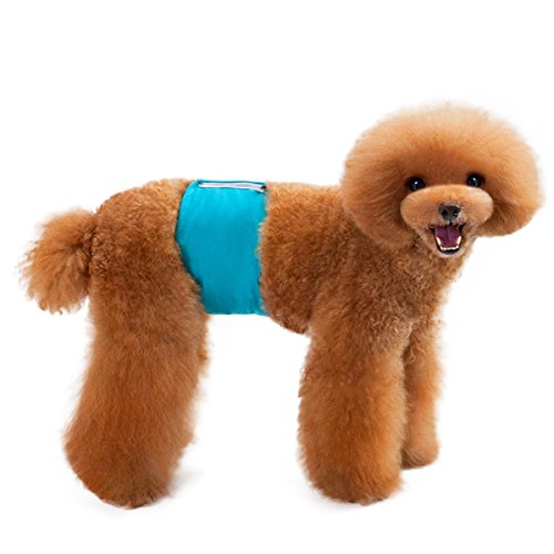 PETCUTE Pieluchy dla psów, zmywalne, pas na brzuch dla mężczyzn i psów, majtki higieniczne 2 sztuki w opakowaniu, pieluchy wielokrotnego użytku - obrazek 2