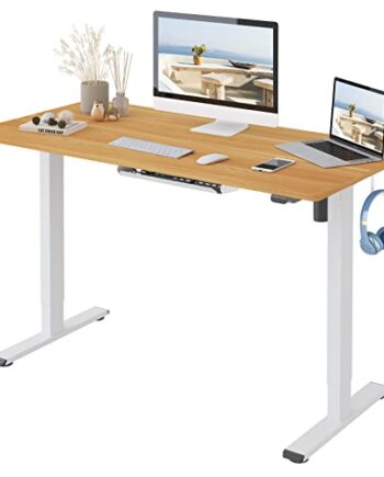 Flexispot Basic Biurko do siedzenia i stania 120x60 (73-121) cm, 2-stopniowa regulacja wysokości, biurko elektryczne z pojedynczym silnikiem, panel z 2 przyciskami, łatwy montaż (biała rama+klonowy blat)