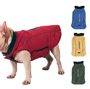 Zimowa ciepła kurtka dla psa, 7 rozmiarów, dla małych, średnich i dużych psów, wiatroszczelna, kombinezon śniegowy, ubranie dla psa, kamizelka, odzież dla zwierząt domowych (L, czerwona)