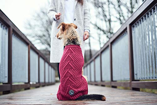 Malmö Hunter Dog Jersey, 30 cm, Bordeaux - obrazek 4