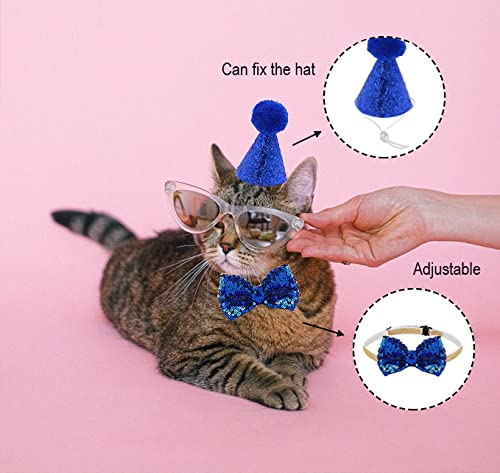 3-częściowy zwierzak domowy kot pies kapelusz urodzinowy, urodziny kot - obrazek 4