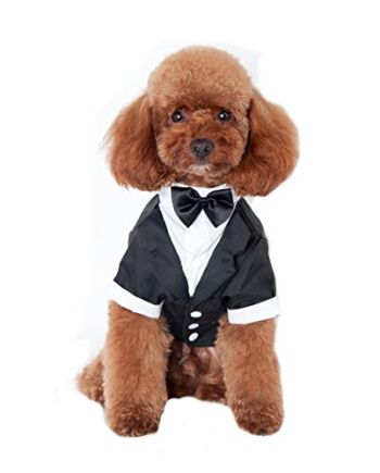 Keysui Płaszcz dla szczeniaka, psa, mucha, smoking, wesele, kot, kostium M