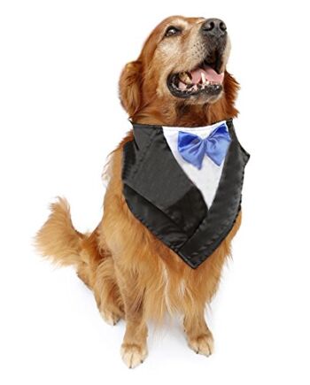 DELIFUR Smoking ślubny duży pies bandana szalik regulowana obroża dla kota apaszka dla zwierząt domowych ubrania do przebierania się na wesele lub Halloween (niebieski)