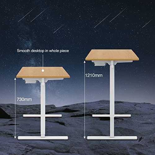 Flexispot Basic Biurko do siedzenia i stania 120x60 (73-121) cm, 2-stopniowa regulacja wysokości, biurko elektryczne z pojedynczym silnikiem, panel z 2 przyciskami, łatwy montaż (biała rama+klonowy blat) - obrazek 3