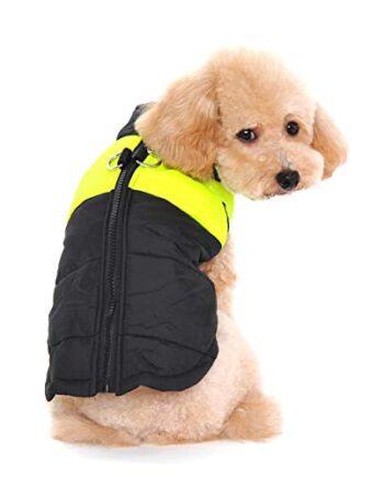 Ectkuee; Wodoodporny płaszcz dla psa; kurtka ciepła wyściełana typu puffer; zwierzę domowe; ubrania dla psa; kamizelka dla szczeniaka (zielona, S)