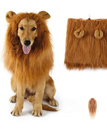 SUNREEK Grzywa, peruka z lwem, kostium dla średnich i dużych rozmiarów psa z uszami i ogonem, fantazyjne włosy lwa na Halloween, kostium, wakacje, sesje zdjęciowe, impreza, festiwal, okazja