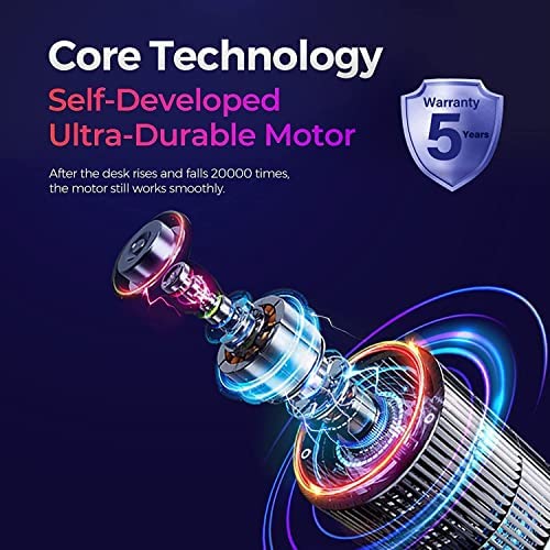 Flexispot Basic Biurko do siedzenia i stania 120x60 (73-121) cm, 2-stopniowa regulacja wysokości, biurko elektryczne z pojedynczym silnikiem, panel z 2 przyciskami, łatwy montaż (biała rama+klonowy blat) - obrazek 2