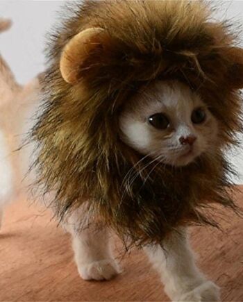 Bello Luna Słodki kostium lwa, grzywa lwa z uszami dla kotów, małych psów lub szczeniaków, na Halloween, imprezy, uroczysty rozmiar, odpowiedni dla zwierząt domowych o obwodzie szyi od 26 do 30 cm