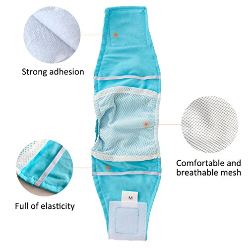 PETCUTE Pieluchy dla psów, zmywalne, pas na brzuch dla mężczyzn i psów, majtki higieniczne 2 sztuki w opakowaniu, pieluchy wielokrotnego użytku - obrazek 5