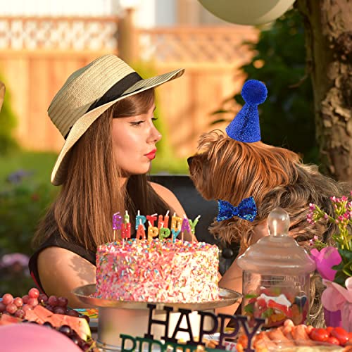 3-częściowy zwierzak domowy kot pies kapelusz urodzinowy, urodziny kot - obrazek 2