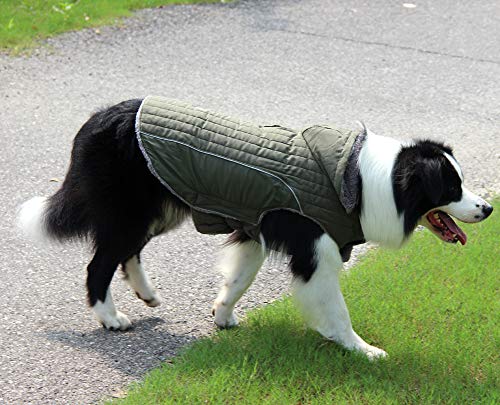 bluza z kapturem dla małych psów, super ciepła, zimowa - obrazek 2