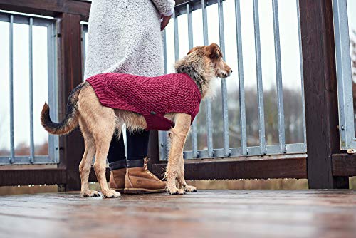 Malmö Hunter Dog Jersey, 30 cm, Bordeaux - obrazek 3