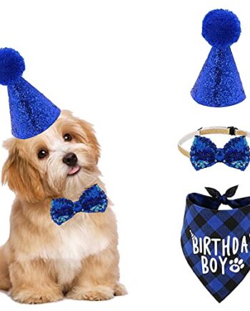 3-częściowy zwierzak domowy kot pies kapelusz urodzinowy, urodziny kot