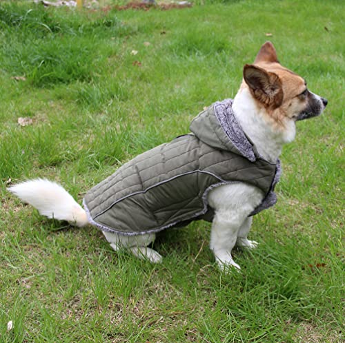 bluza z kapturem dla małych psów, super ciepła, zimowa - obrazek 3