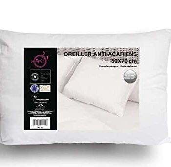 Intemporel Poduszka, poliester, biała, 1 Unité (Lot de 1)