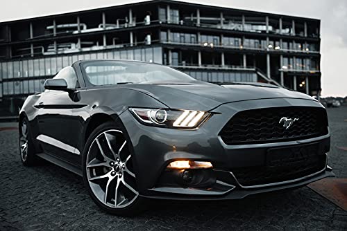 DELLWING Quick Detailer Auto 10 litrów – bardzo szybka, ale delikatna i dokładna pielęgnacja lakieru dla perfekcyjnego wykończenia lakieru - obrazek 3