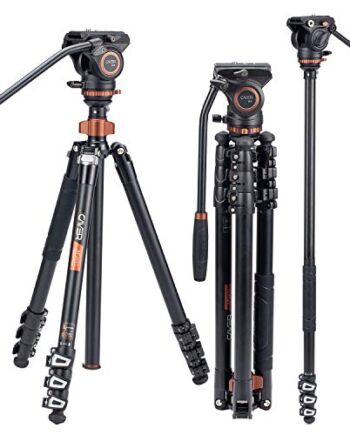 Profesjonalny statyw do kamery wideo, Cayer AF2451 67 cali z głowicą przeciągającą, 4-częściowy kompaktowy statyw z aluminium DSLR rozkładany do monopod, maksymalne obciążenie 60 kg do kamery DSLR, kamery wideo