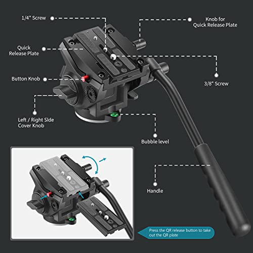 NEEWER Statyw do aparatu 2-w-1, ze stopu aluminium, statyw jednonożny, 181 cm, ze śrubami 1/4" i 3/8", Fluid Drag Pan Head i torbą do przenoszenia, kompatybilny z aparatami Nikon Canon DSLR, maks. obciążenie do 26,5 lbs - obrazek 4