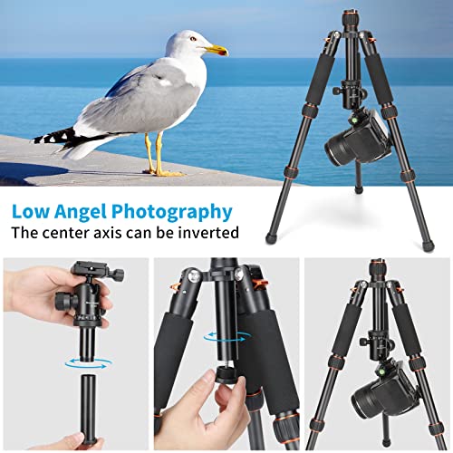 Koolehaoda Mini statyw stołowy ze stopu aluminium 7.5-21 cali z regulacją wysokości z torbą do przenoszenia kamery wideo DSLR, obciążenie do 13 funtów / 6 kg. (H-55) - obrazek 2