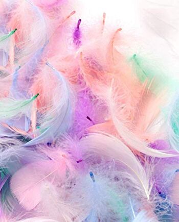 Pióra, 300 szt. pióra do rzemiosła naturalne gęsie pióra dekoracje pióra dla majsterkowiczów łapaczy snów kapelusze kostium kapelusza dom dekoracja ślub dekoracje wielokolorowe