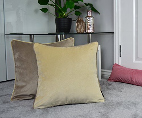 McAlister Textiles Klasyczna matowa aksamitna dekoracyjna poduszka kwadratowa poszewka na poduszkę | luksusowa prosta pluszowa super miękkie szampańskie złoto | 43 cm 17 cali - obrazek 7