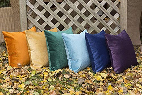 McAlister Textiles Klasyczna matowa aksamitna dekoracyjna poduszka kwadratowa poszewka na poduszkę | luksusowa prosta pluszowa super miękkie szampańskie złoto | 43 cm 17 cali - obrazek 5