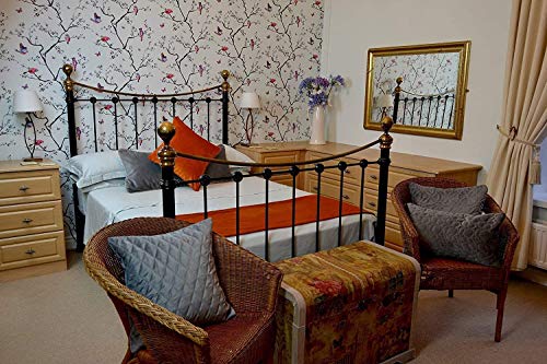 Poszewka na poduszkę z aksamitu w kolorze petrol, matowa, paspelowana, 43 cm x 43 cm. Z luksusowej kolekcji McAlister - obrazek 6