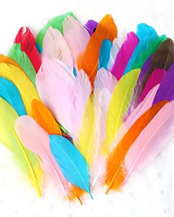 CHUANGOU Pióra dekoracyjna, do samodzielnego wykonania, kolorowe, 50 sztuk, mieszane pióra do łapaczy snów, pióra na wesele