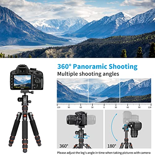 Koolehaoda Mini statyw stołowy ze stopu aluminium 7.5-21 cali z regulacją wysokości z torbą do przenoszenia kamery wideo DSLR, obciążenie do 13 funtów / 6 kg. (H-55) - obrazek 5