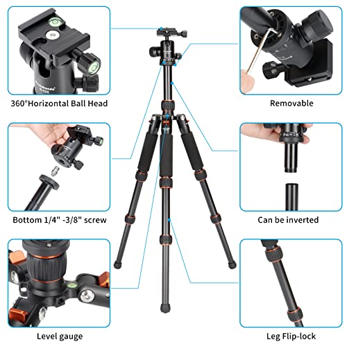 Koolehaoda Mini statyw stołowy ze stopu aluminium 7.5-21 cali z regulacją wysokości z torbą do przenoszenia kamery wideo DSLR, obciążenie do 13 funtów / 6 kg. (H-55) - obrazek 8