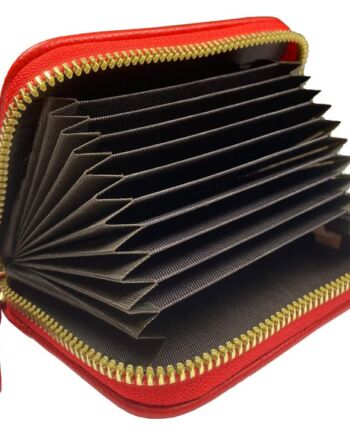 Newaner Etui na karty kredytowe, portfel dla kobiet i mężczyzn, ochrona RFID, etui na karty kredytowe, 11 przegródek, etui na karty, przenośna szczotka antykradzieżowa, mały portfel z zamkiem błyskawicznym (czerwone), czerwony, 1, nan