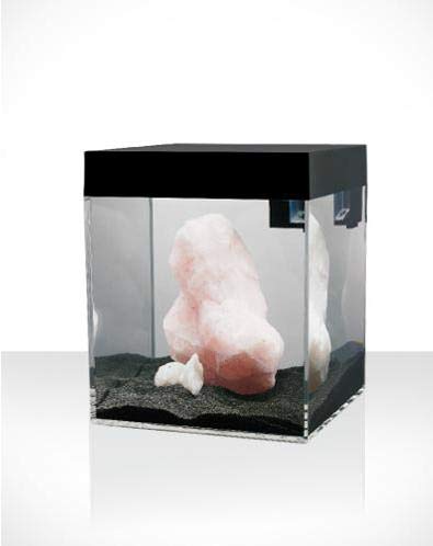 Askoll Aa350002 Pure Aquarium Pure Absoluteblack, S, czarny - obrazek 4