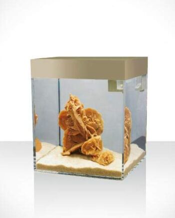 Askoll Aa350003 Pure naturalny piasek do akwarium, S, Sand