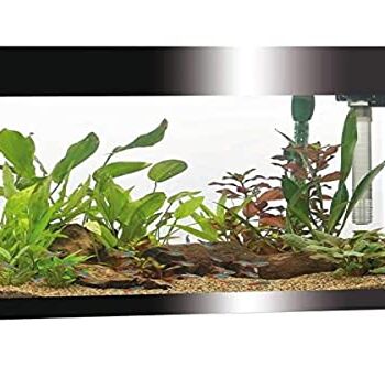 Askoll Aa350050 Askoll Pure Acquarium Kit czarny LED 68 litrów – filtr – ogrzewanie – timer, oświetlenie LED, L, czarny
