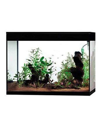 Askoll Aa350074 Akwarium Pure High Cube LED, XXL, Czarny