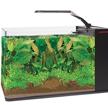 Wave A2001287 Aqua Orion 40, czarny