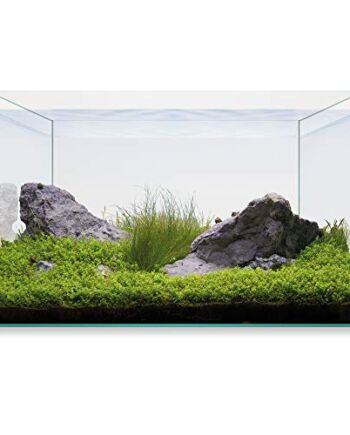 ICA Aquascape Basic 20 Kit 18 ml