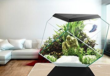 Askoll 280670 Nexus 5C Betta Life czarny