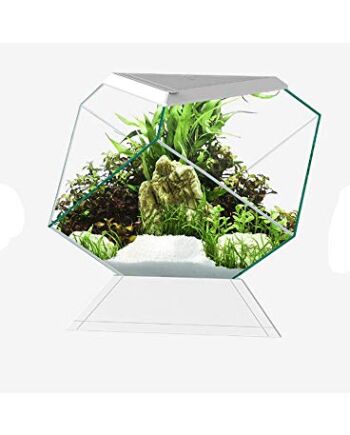 Askoll 280669 Nexus 5C Betta Life White