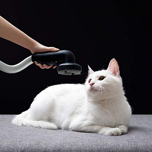 ROIDMI X30 Pro Animal - model europejski - 120 000 obr./min, kolorowy ekran OLED, akcesoria dla zwierząt domowych, system dezynfekcji ZIWEI, szary - obrazek 6