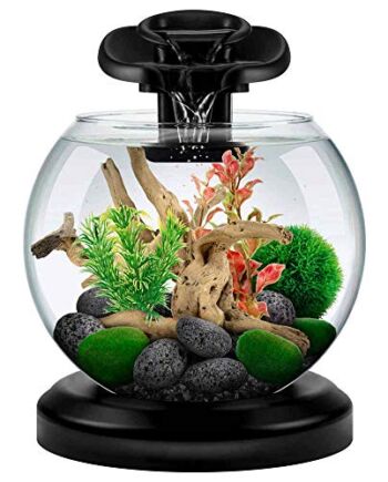 Tetra Waterfall Duo-Aquarium Globus, 6,8 l, czarny