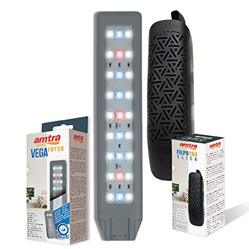 AMTRA NANOTANK SYSTEM 20 - szklane akwarium w komplecie ze światłem LE - obrazek 4