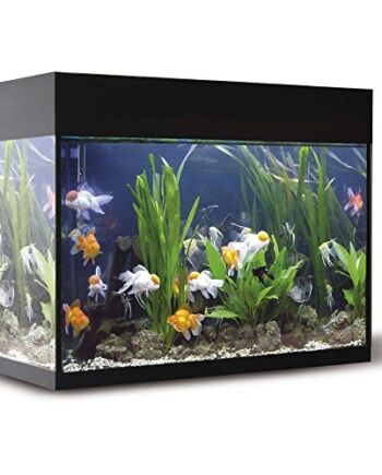 Ica kxb45 N Kit Aqualux z filtrem do wnętrza